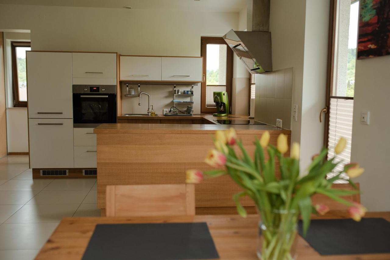 Apartament Sloneczna Rapsodia - Blisko Parku Zdrojowego - Piekny Widok - Ogrod - Taras รับกา ภายนอก รูปภาพ